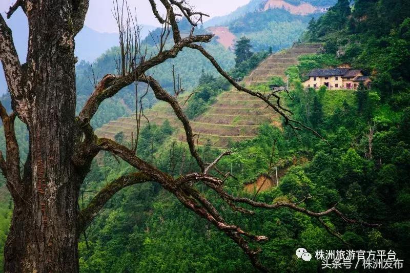 株洲很梦幻的地方,株洲旅游必去十大景点