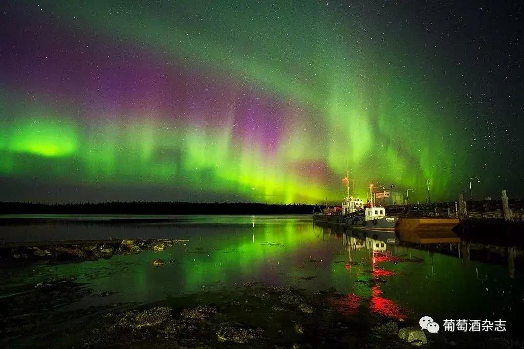 世界杯喝什么酒,世界杯适合喝什么酒