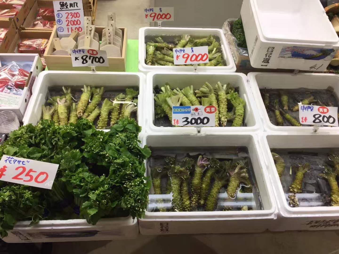 最能吃山葵的人,山葵料理正确吃法