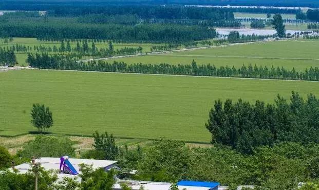 我的土地被征用了该怎么赔偿,我的土地被收回无地农民怎么办