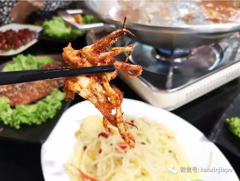 我在牛车水，居然get了和珅同款“火焰鱼”