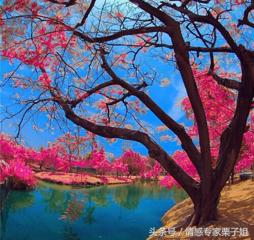 你们这些女人那,发了花痴就治不好