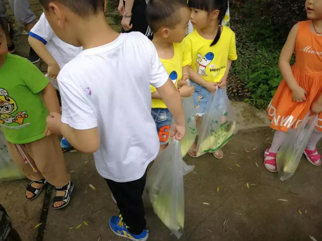 “回趣童真，weare伐木累”乔森驾校亲子活动