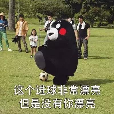 世界杯最土味的话语,关于欧洲杯的土情话