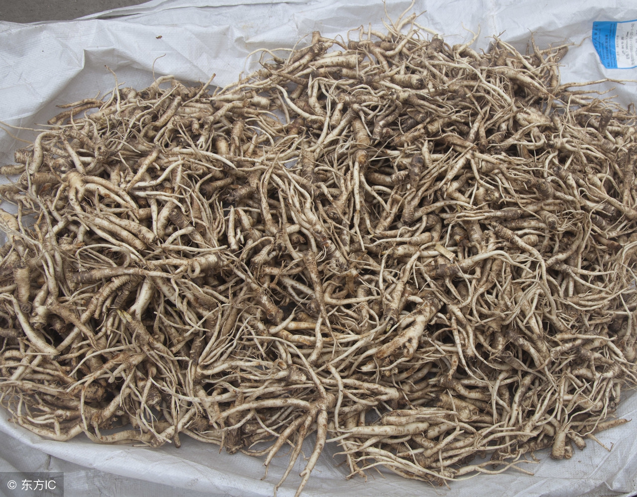 阴虚内热寒痰壅肺有中药调理,阴虚潮热盗汗是清火还是滋阴