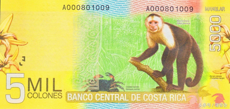 18年世界杯钞票,世界杯货币大全