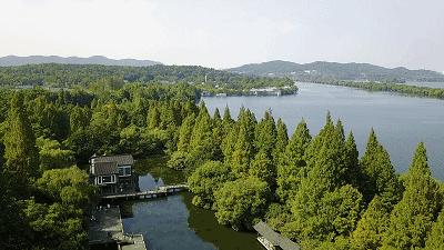 杭州知味观味庄的石橄榄老鸭汤,杭州知味观味庄哪家好吃