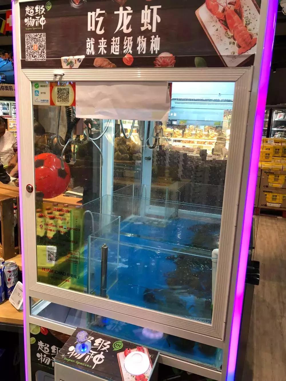 在北京吃只大龙虾只要70块？我被这家超市实力圈粉了！
