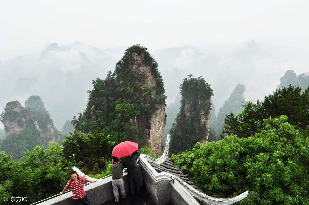 阿华讲解电影,阿华讲白话