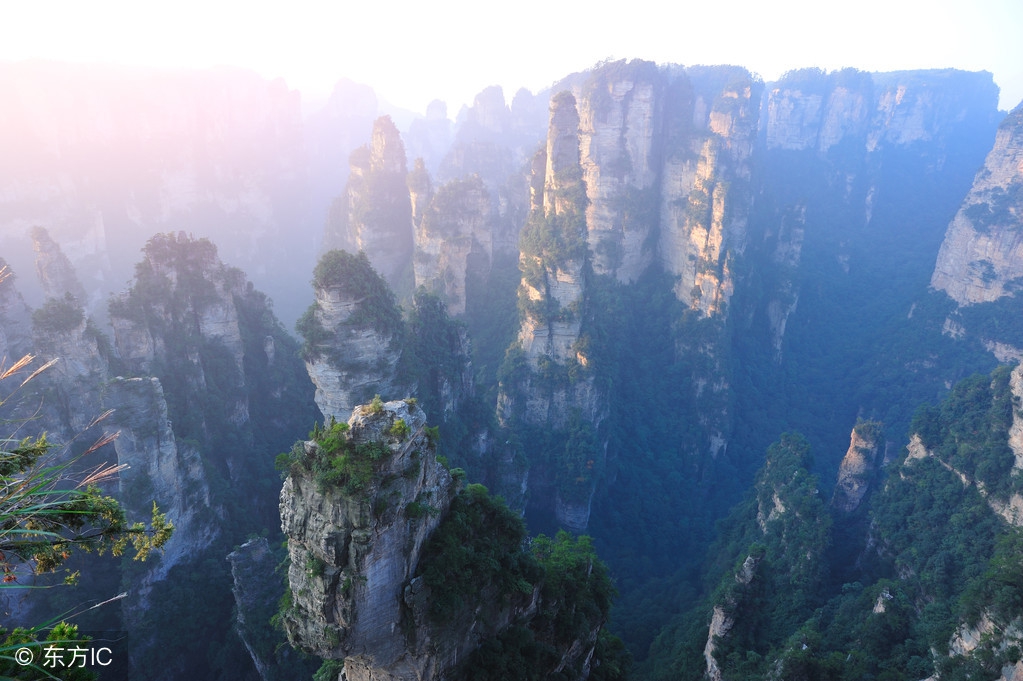 阿华讲解电影,阿华讲白话