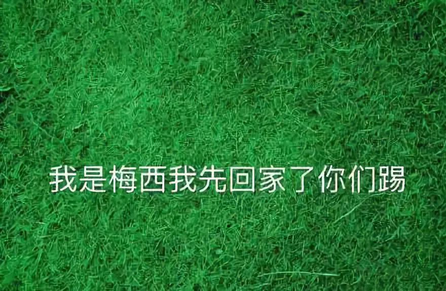 iOS11.4出现相机故障,网友直播虐猫还收费,微信下架拼房小程序|科技BB鸭