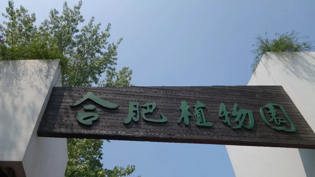 时光游合肥,时光旅行图集