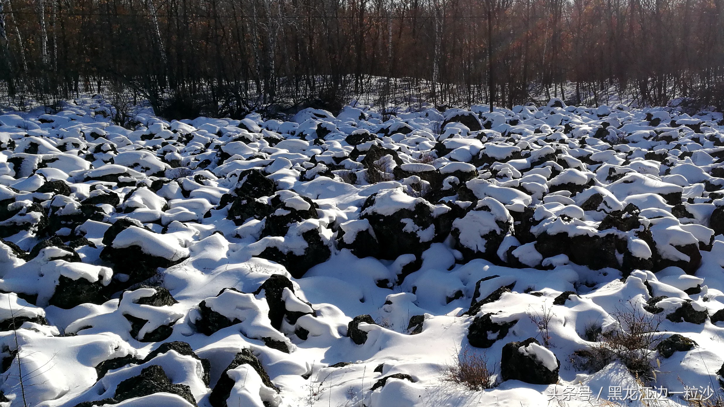 黑河冬天去哪里旅游比较好,东北黑河旅游攻略