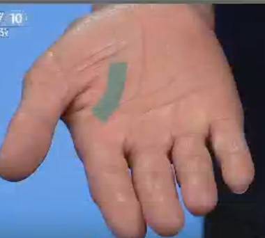 手的健康识别,手型看健康