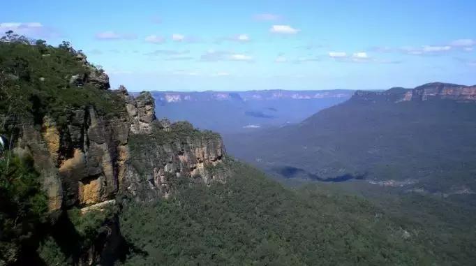 澳洲未解之谜，它又出现了！幽灵猫现，必有血案！