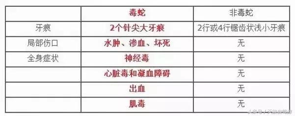 蛇虫叮咬怎么去除,避免蛇虫咬伤的安全措施