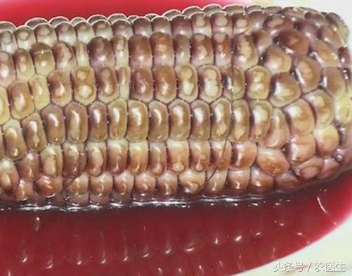 黑玉米是转基因的吗怎么煮,黑玉米是转基因食品吗