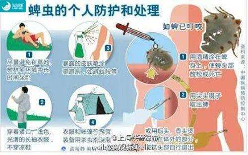 蜱虫咬人高发期,如何预防蜱虫伤人