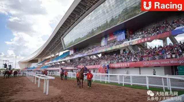 内蒙古伊泰杯2023,伊泰大漠马场