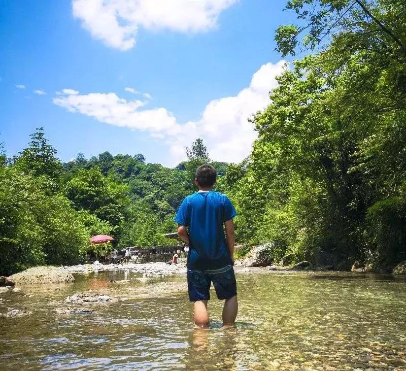 成都周边小众森林秘境,成都周边有山有水还免费的地方