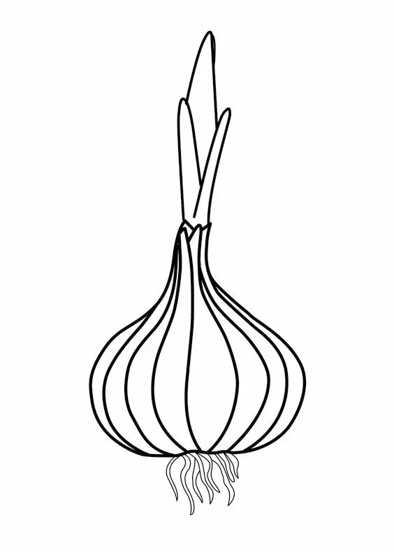 儿童简笔画蔬菜和水果,多吃水果蔬菜简笔画