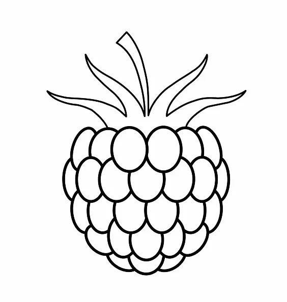 儿童简笔画蔬菜和水果,多吃水果蔬菜简笔画