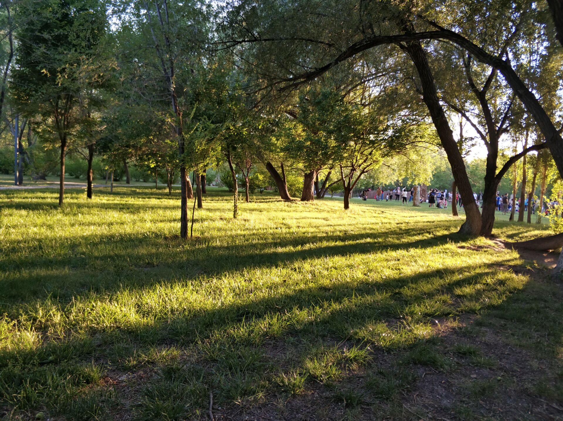 乌鲁木齐南湖美景图,乌鲁木齐南湖公园景区美图