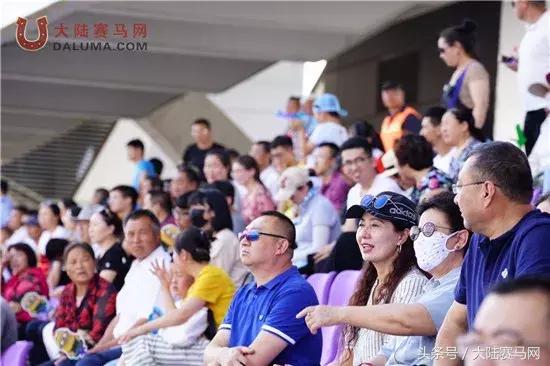 马术比赛纯血马,2018蒙古赛马传统耐力赛视频