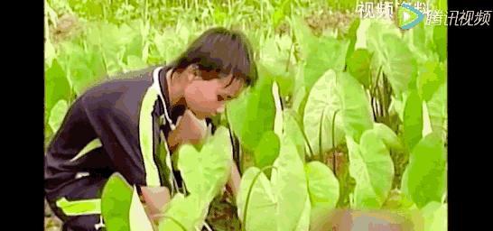 盘点中国足球被骂,中国足球被骂的球员合集