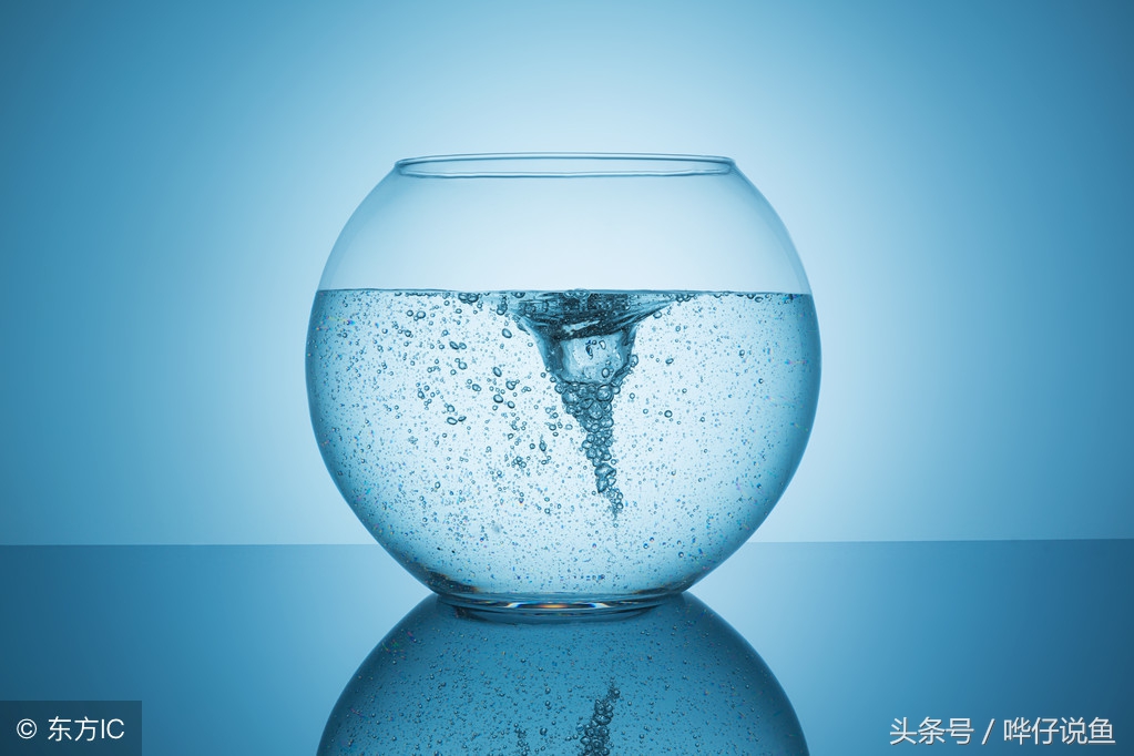 宠物鱼没有氧气能养活吗 (宠物鱼缺氧的最佳季节)