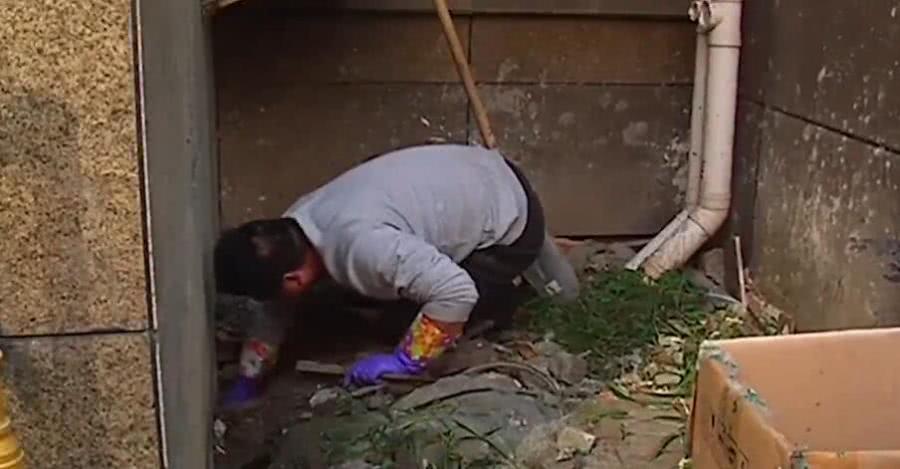 母狗将幼崽藏在下水管里,母狗总是把狗仔藏起来
