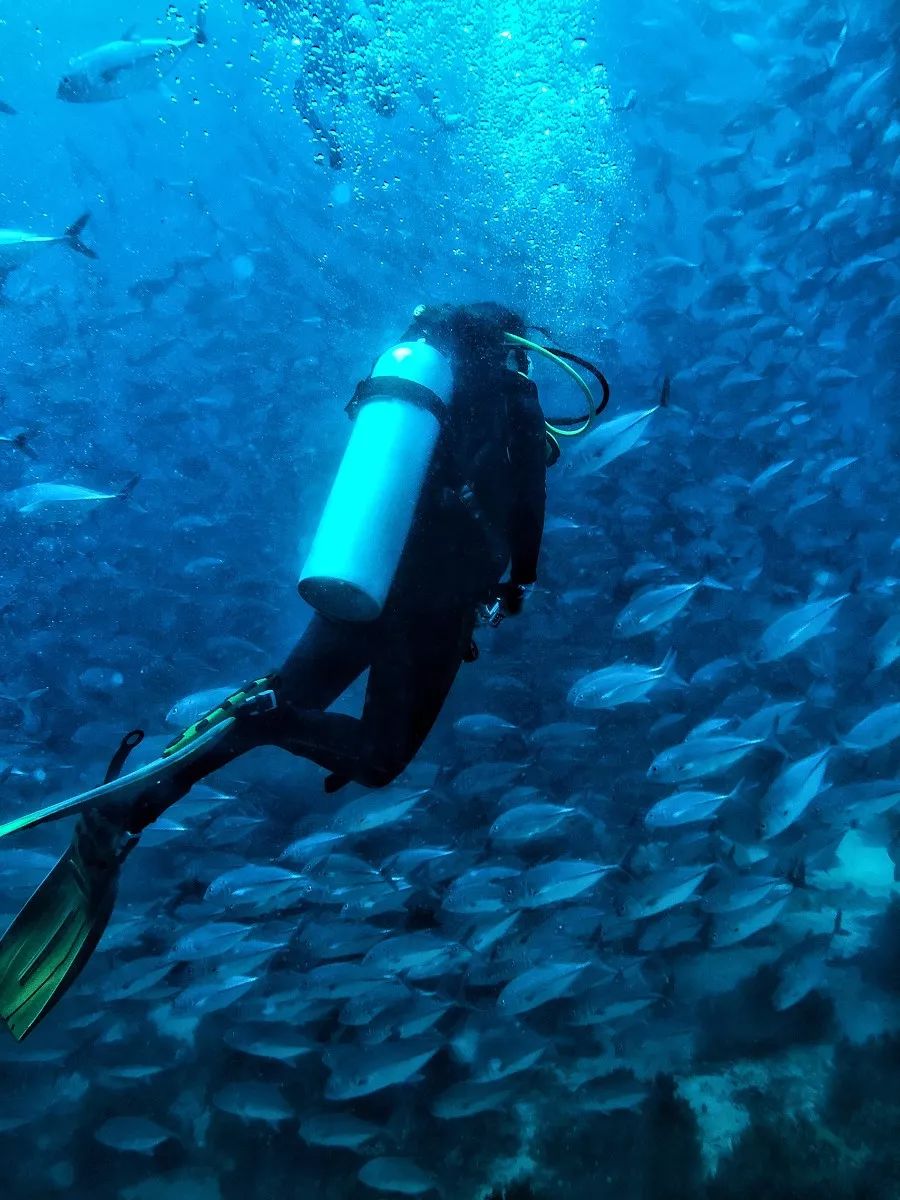 东南亚哪些国家免签或者落地签,免签落地签旅游推荐