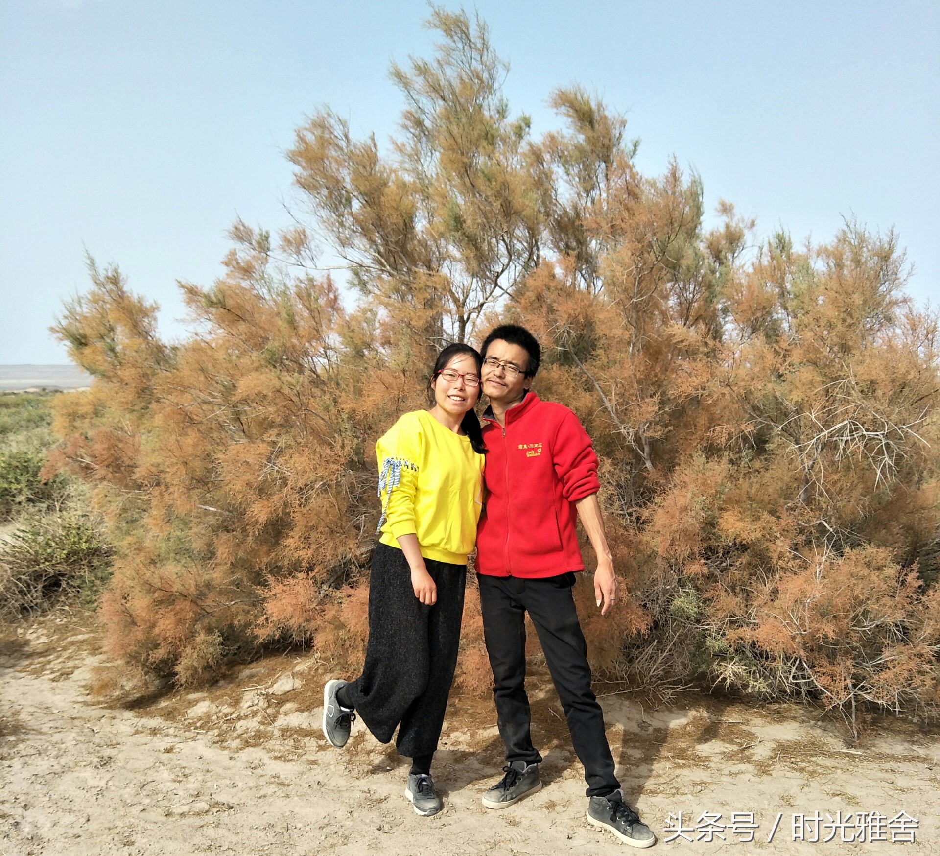 去看胡杨林,想去沙漠里看胡杨林