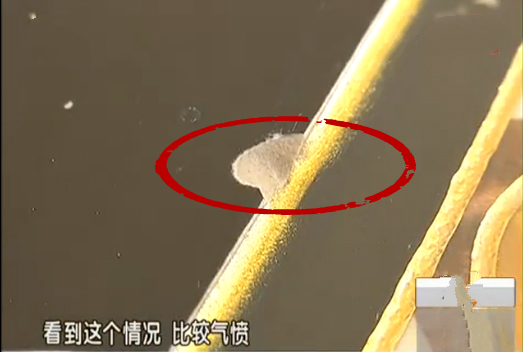 如果工人师傅这样给你家做瓷砖美缝，要么让他重做，要么让他赔钱！