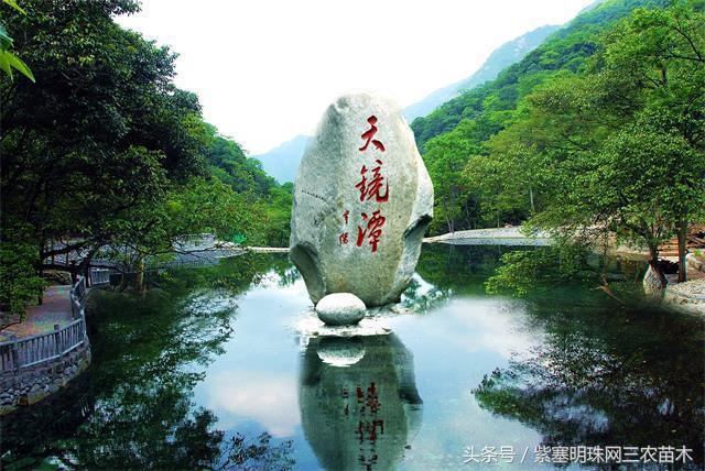 梨木台风景区顺缘农家院,天津蓟县梨木台顺鑫缘农家院