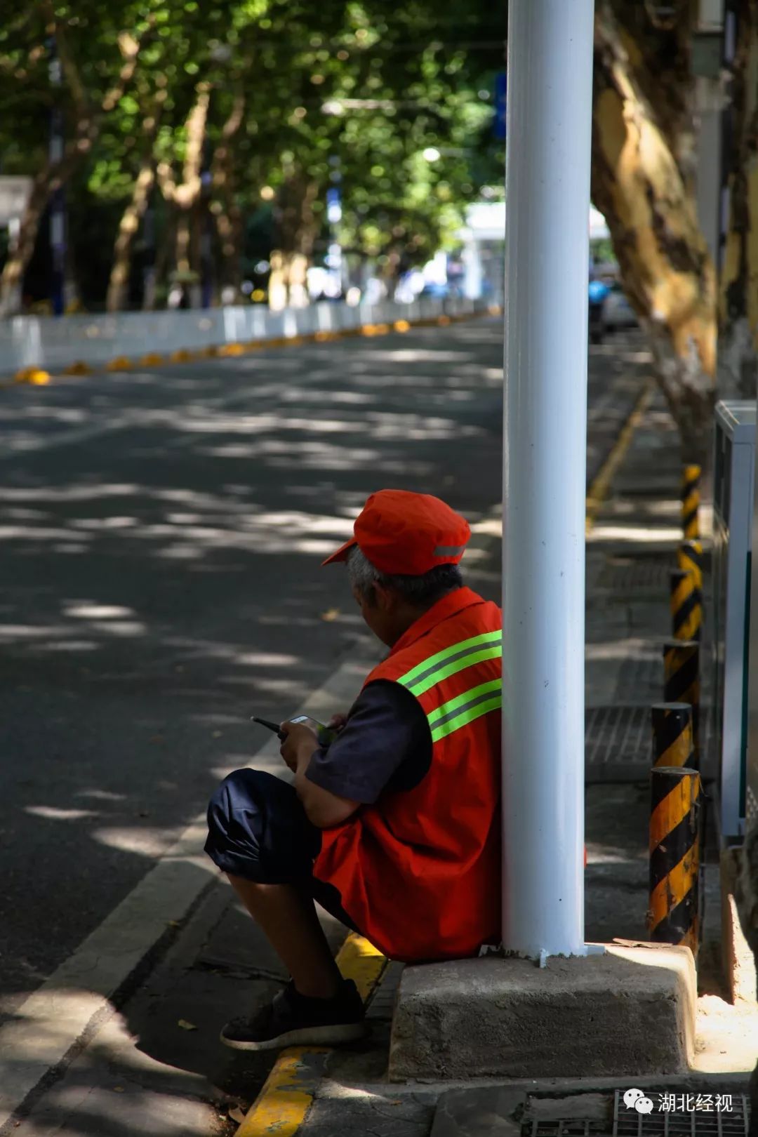 武汉最美林荫道,武汉最美林荫道排名