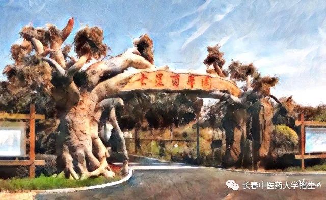 长春中医药大学提前批有什么要求,长春中医药大学报名时间