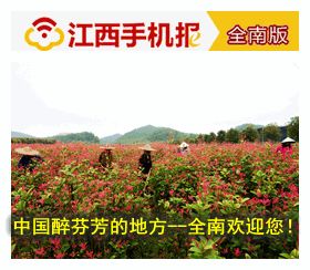 「全南手机报」7月5日（微信版）