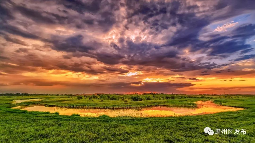 太迷人了！肃州区的这幅生态画卷越绘越美丽！