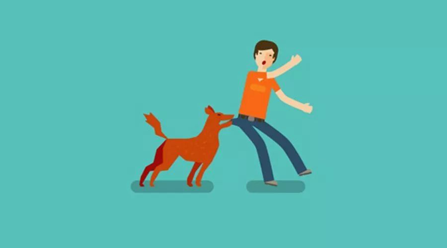 狂犬病致死率100%，这些救命知识一定要早知道！