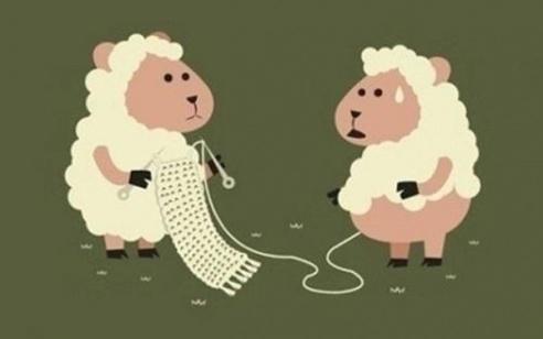 贪高返利的和羊毛*党**们小心了，四大高返平台爆雷只是开始！