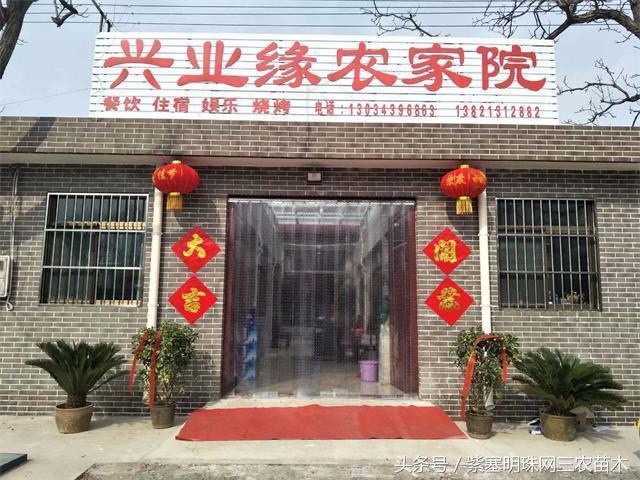 梨木台古树农家院,蓟县梨木台兴业缘农家院