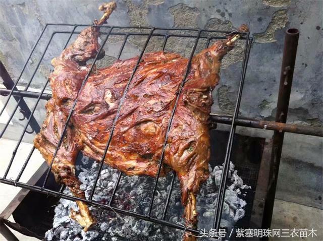 梨木台古树农家院,蓟县梨木台兴业缘农家院