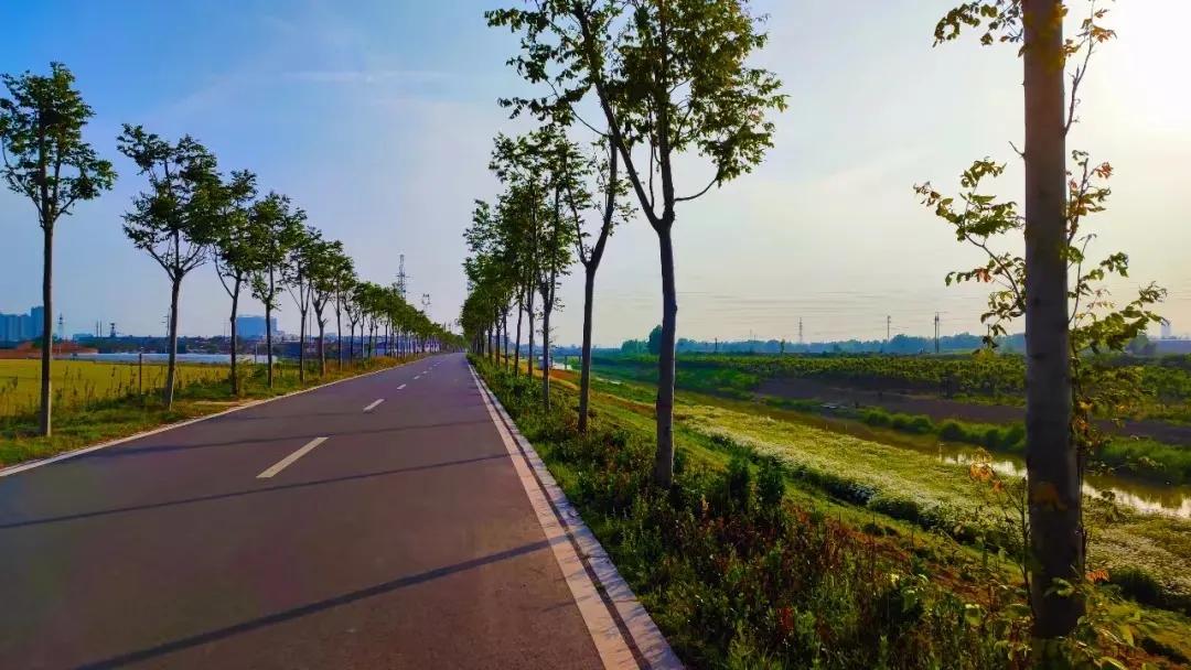 卫辉，洪灾之后忧思录