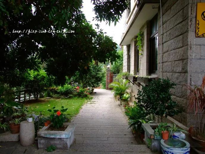 在画画中的真实感悟,厦门手绘地图简笔画