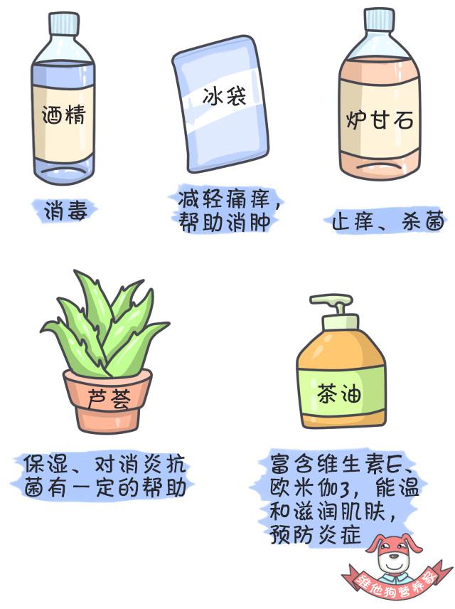 鍚歌铓婂瓙婕敾,鍏充簬铓婂瓙婕敾