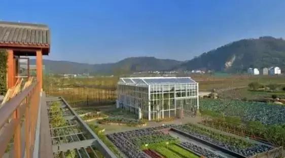 洛阳夏天一日游必去的地方景点,洛阳一日游适合去哪