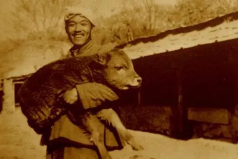 从清华男神沦为废人，三次自杀后，他活成了中国的“救赎之神”！