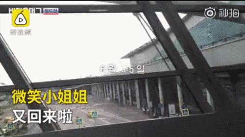 世界杯赛场那些高颜值女球迷瞬间,世界杯看台美女卡塔尔