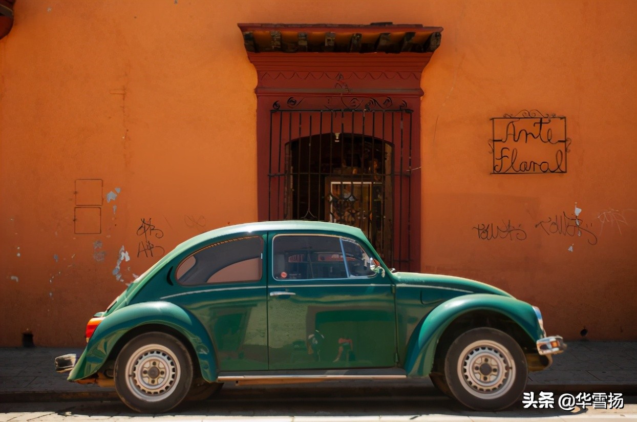 在这里你可以看到绚烂多彩的甲壳虫,因为他们是这里的精灵